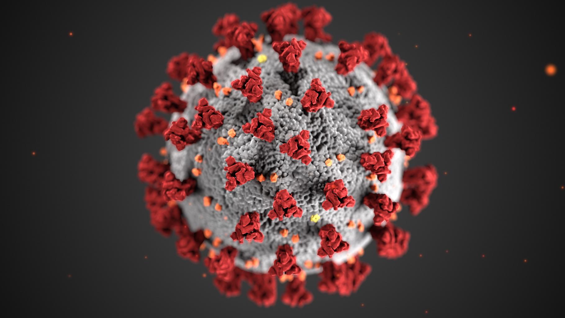 Coronavirus medical illustration