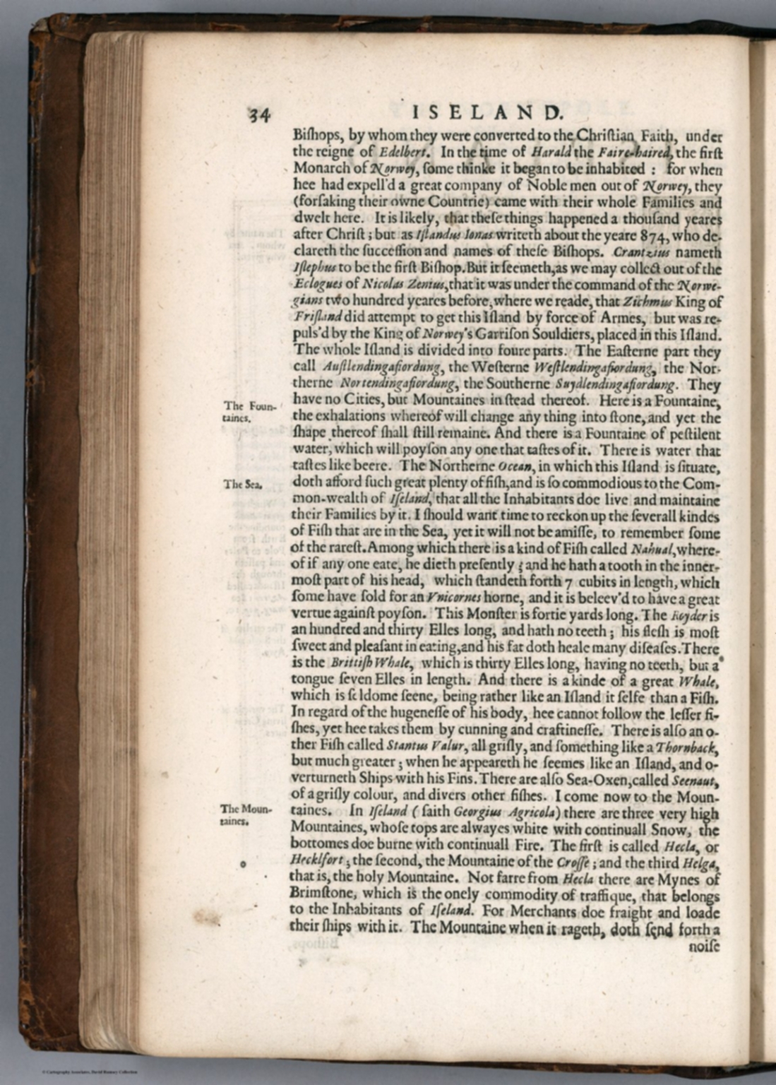 Text Page: (Continues) Iseland