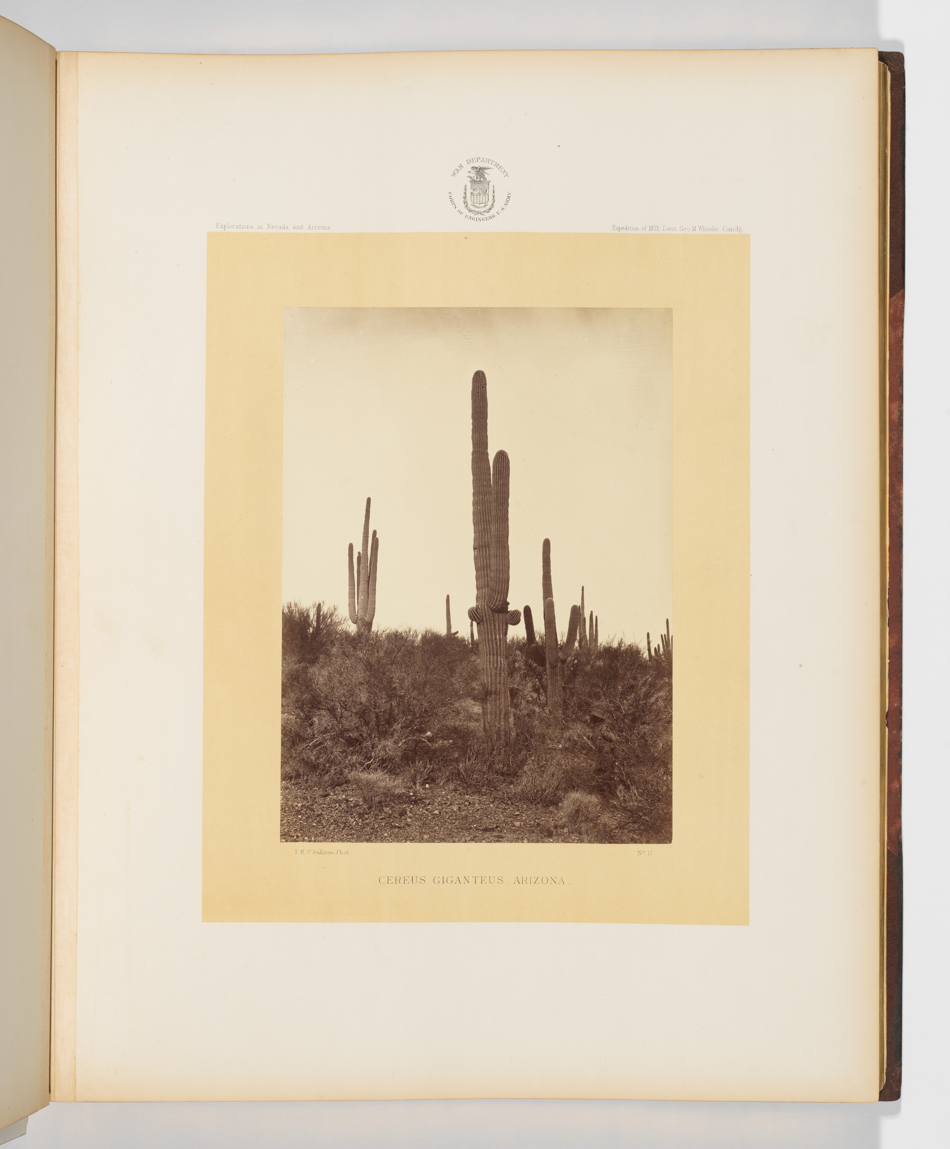 Photographs Showing Landscapes, Geological and Other Features, of Portions of the Western Territory of the United States, Obtained in connection with Geographical and Geological Explorations and Surve