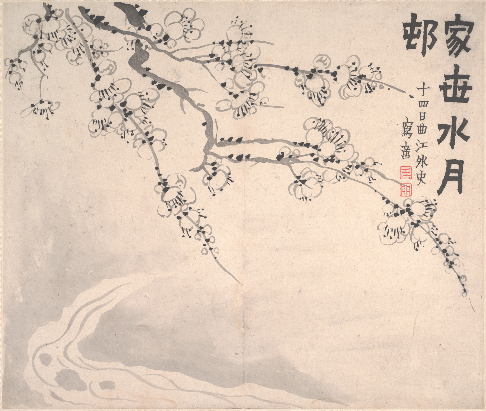 Plum blossoms