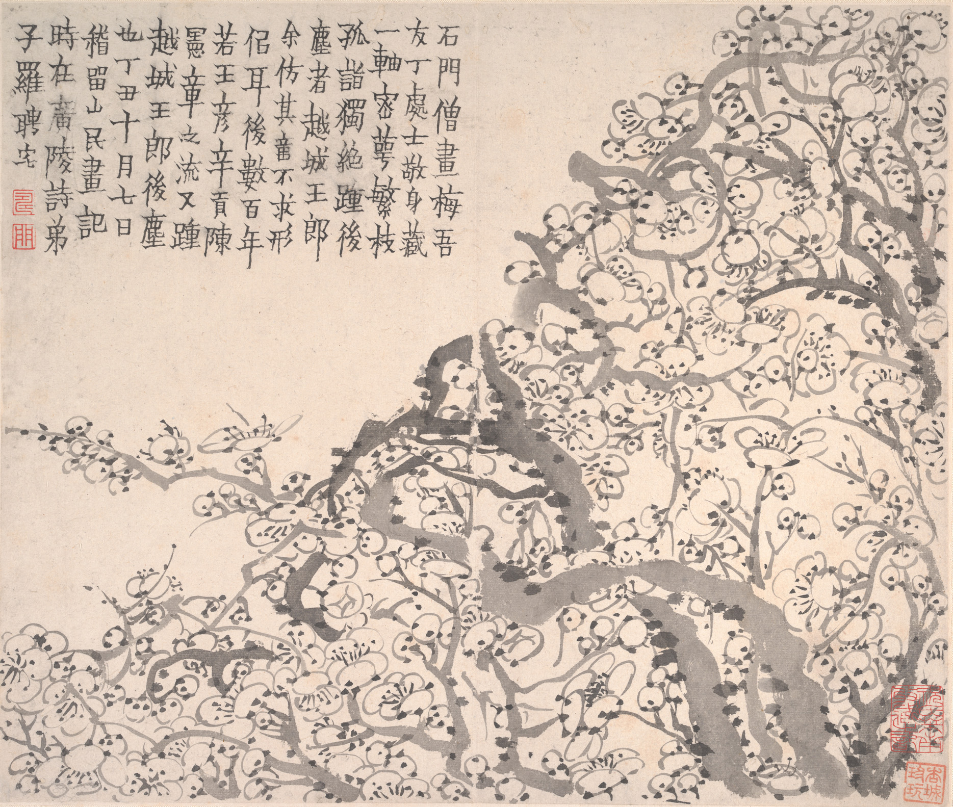 Plum blossoms