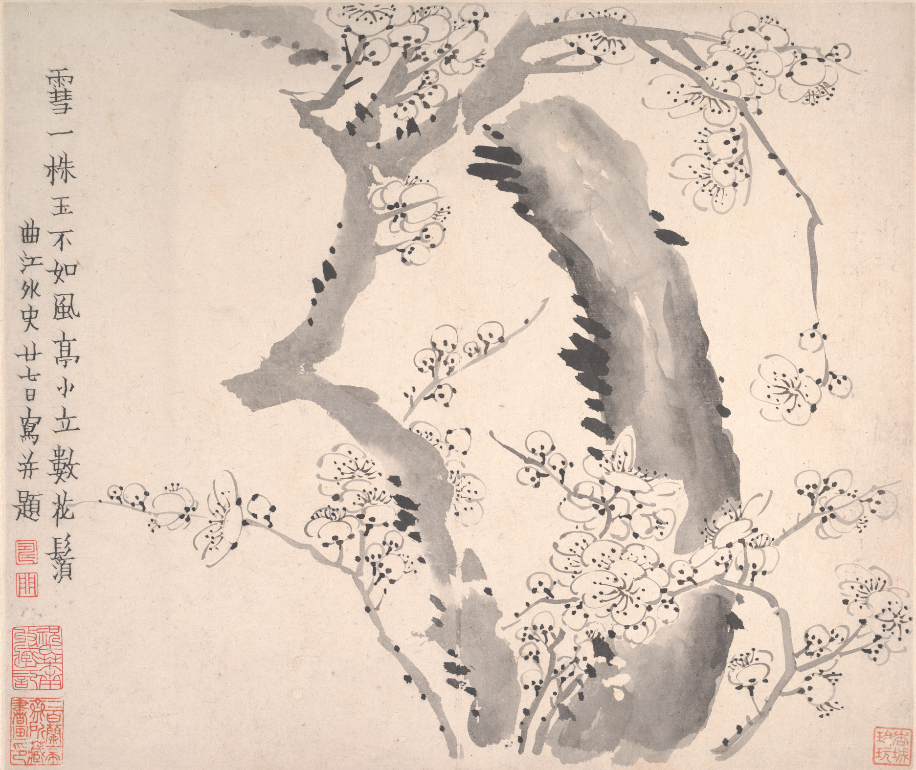 Plum blossoms