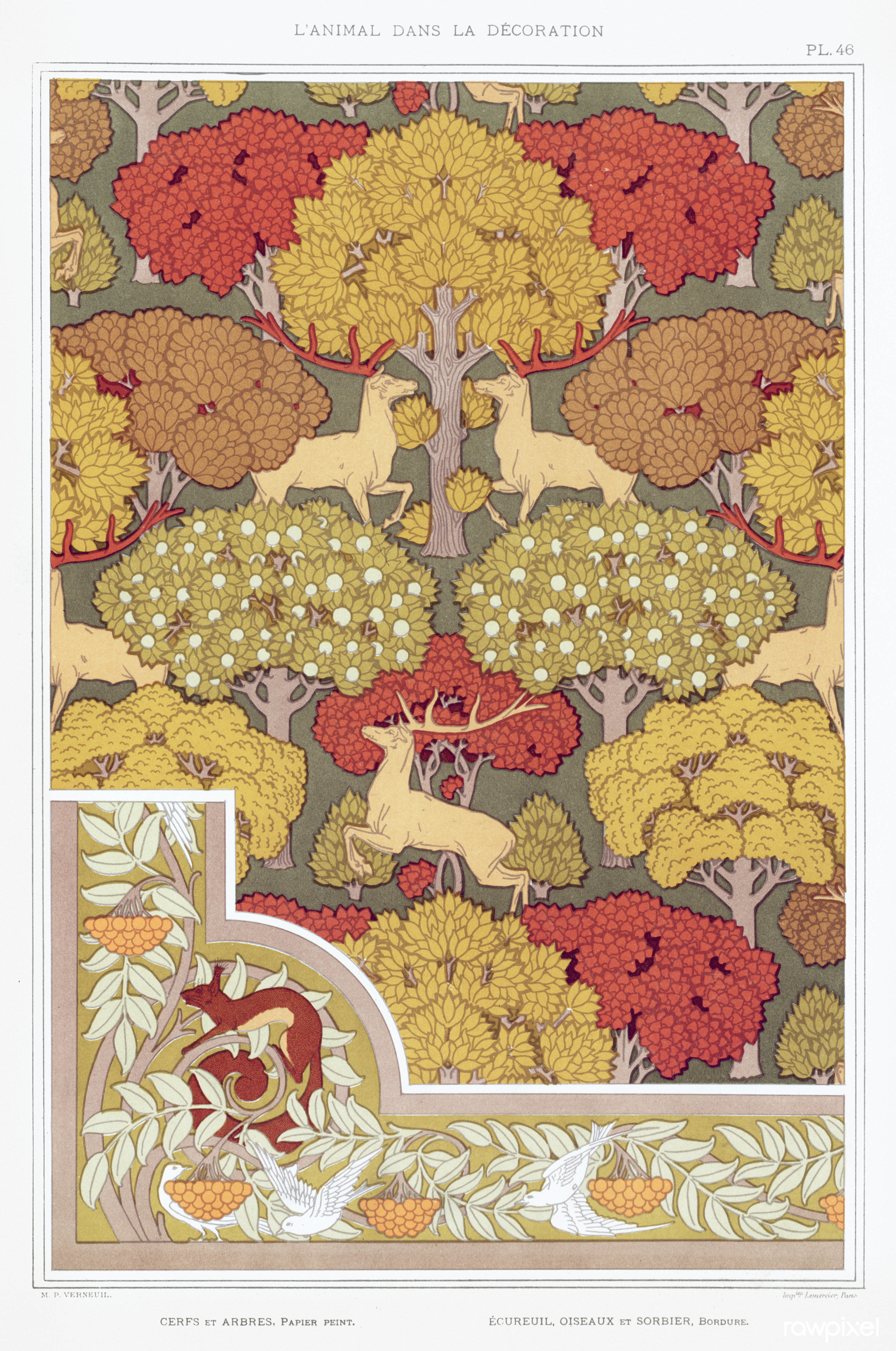 Cerfs et arbres, papier peint. Écureuil oiseaux et sorbier, bordure - L'animal dans la décoration, by M. P. Verneuil 1897 (enhanced by Rawpixel)
