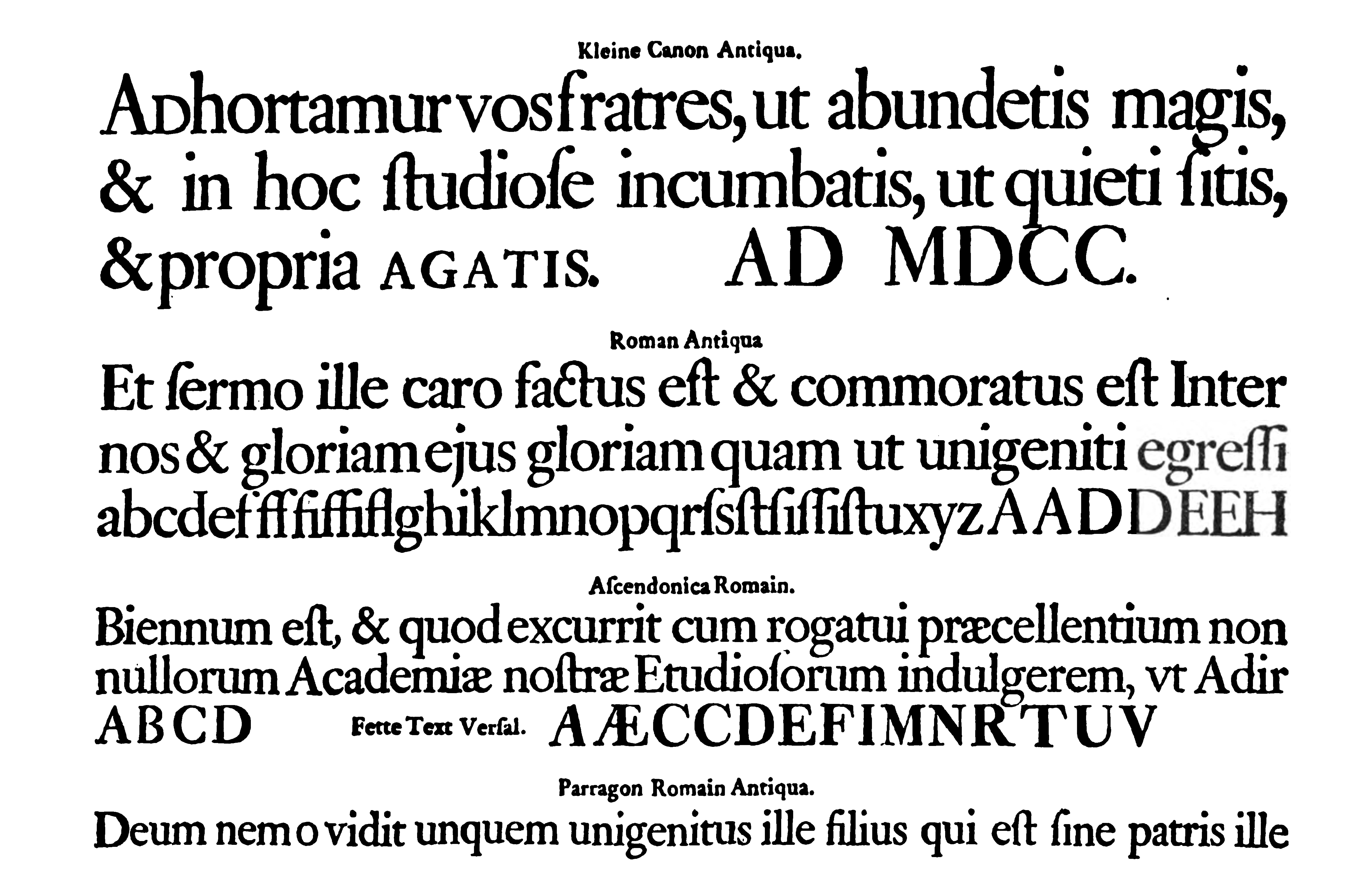 Ehrhardt specimen