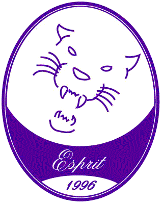 Esprit logo, 1996