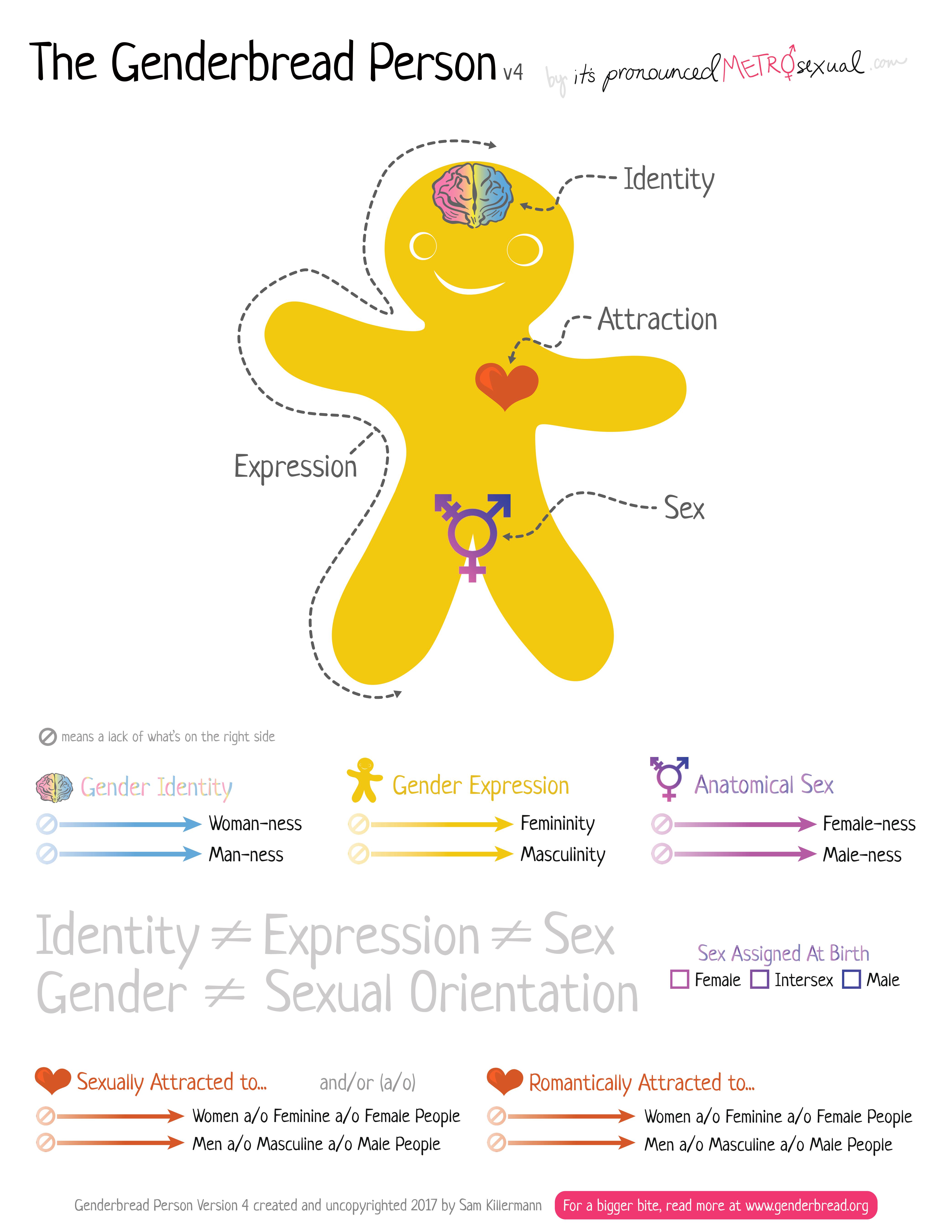 Genderbread Person v4 POSTER 18x28
