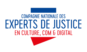 LOGO ExpertsCCD