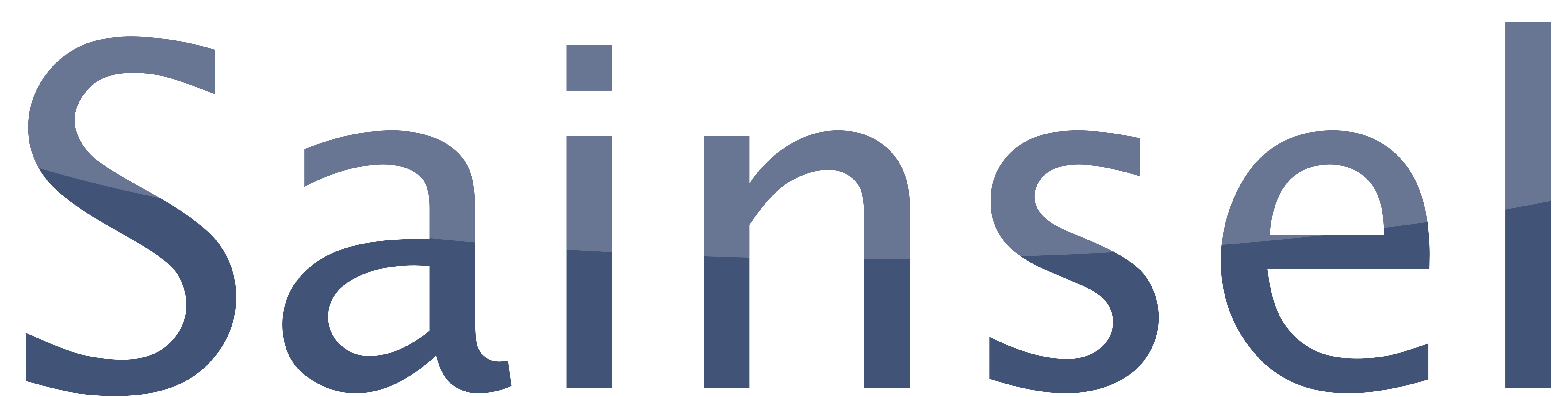 Logo Sainsel