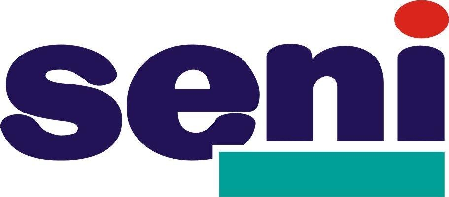 Logo seni