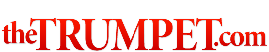 Logo trumpet