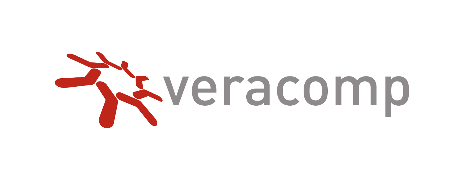 Logo veracomp podstawowe