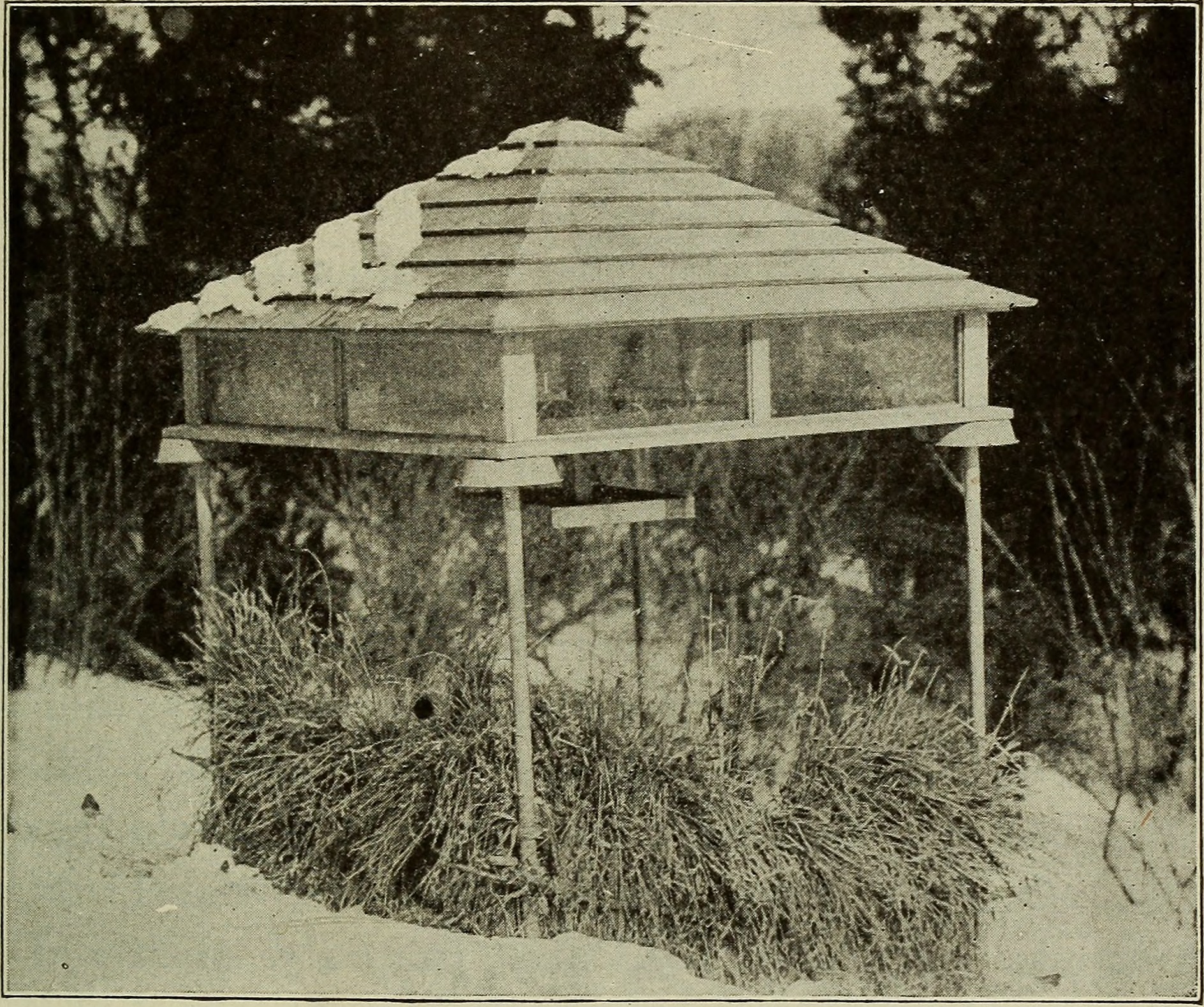 What to do for Uncle Sam; a first book of citizenship (1918) (14803989453)